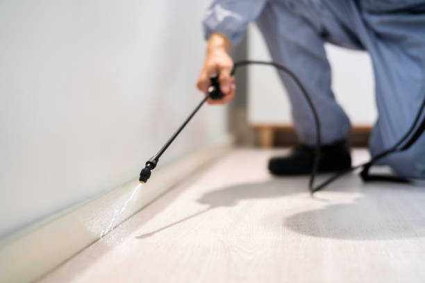 Licensed Rodent Control service in Cedar Falls, IA - Nex Pest Control