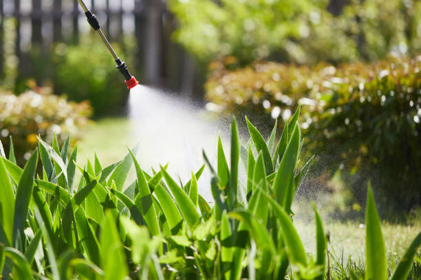 24/7 Emergency Rodent Control experts in Cedar Falls, IA