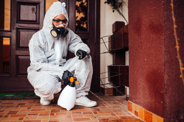 Reliable Rodent Control contractor in Cedar Falls, IA by Nex Pest Control