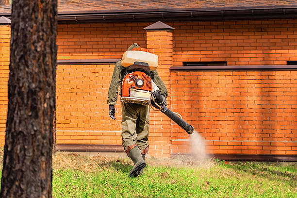 Trusted Rodent Control service in Cedar Falls, IA - Nex Pest Control